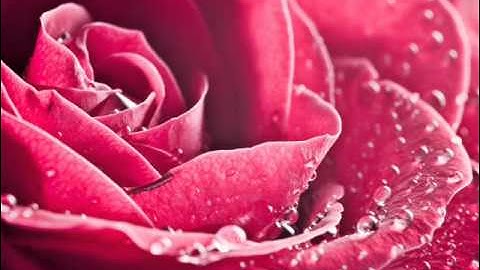 سورة طه بصوت الشيخ عبدالهادي الكناكري.wmv