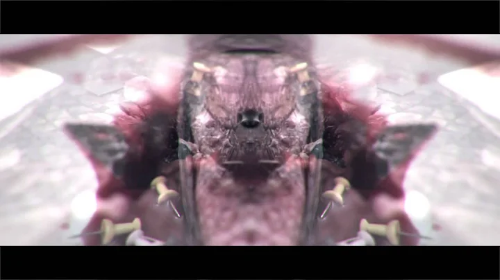 Amy (Official Video) - Defying Decay
