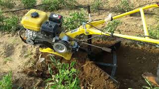 INTER CULTIVATOR FOR MULTIPURPOSE APPLICATIONS