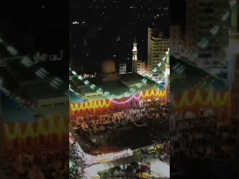 مولد سيدى إبراهيم الدسوقى فى دسوق 2024