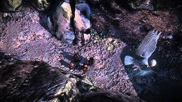 The Witcher 2: Assassins of Kings | Xbox 360 Cinematic Trailer (HD)