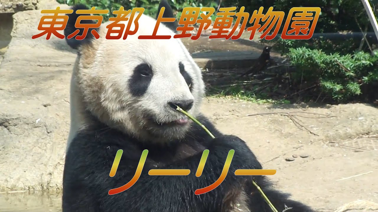 恩賜上野動物園 東園 上野動物園
