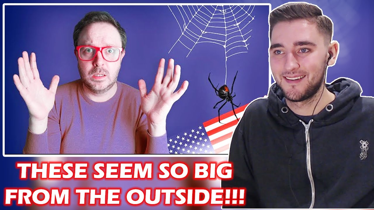 British Guy Reacts to US Living: 4 Things I Honestly Thought Would Be A BIGGER DEAL Lost in the Pond