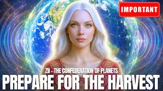 CERN‼️ "The Window Is Now Open..." | Confederation Of Planets | Zii