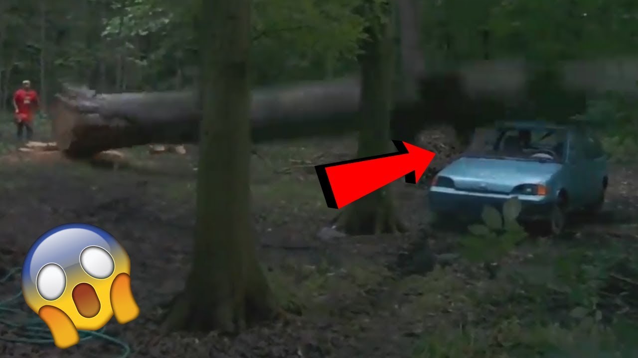 IDIOTS WITH CHAINSAW TREE FALLING WOODWORKING FAILS YouTube