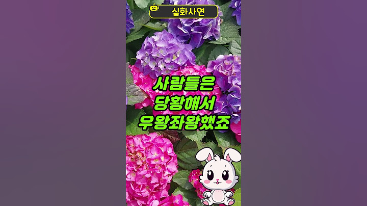 평소 말없던 할머니가 상상도 못한 일이...#인생사연 #노년사연 #노후지혜 #시어머니