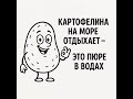 13 августа 2025 г.