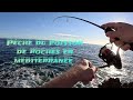 Pche du poisson de roches 4k  sar mrou pche mditerrane berkleyfishing