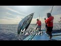 Fishing vlog in Maldives.Amazing Fast Tuna Fishing Skill.