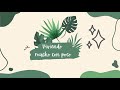 ¡Ya tenemos intro!