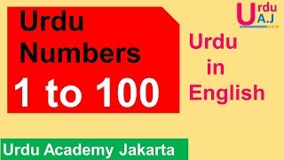 Learn Urdu Numbers 1-100 screenshot 5