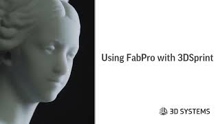 Using FabPro with 3D Sprint | Tutorial 1 | 3D Sprint with FabPro