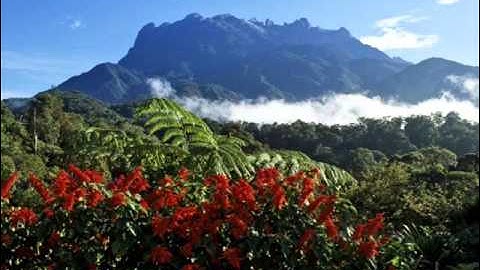 El Suraya   Kinabalu