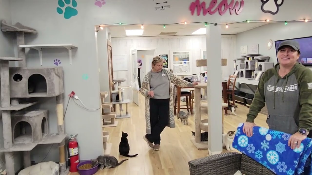 Моменс, Иллинойс. Городской пеший туризм. Часть 2. Кошки и луна в конце...