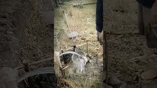 Farmer Genius! Create an Automatic Pest Repellent System from Irrigation Systems