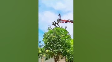 Pruning tool for round treetops- Good tools and machinery make work easy