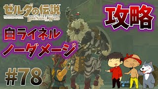 【任天堂スイッチ】ゼルダの伝説#78　ついにこみちんがライネル狩りを完全マスター！？【生声実況】