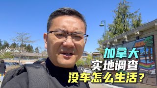 王局采访“我妻之死”大翻车加拿大没车能否正常生活“废物”老公为何不去考驾照做一回调查记者实地去看看