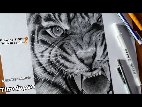 Drawing Horse 🐎 with Pencils | Timelapse - YouTube