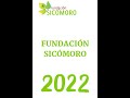 Resumen  actividades 2022 fundacin sicmoro