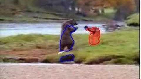 Color graph cut tracking with priors