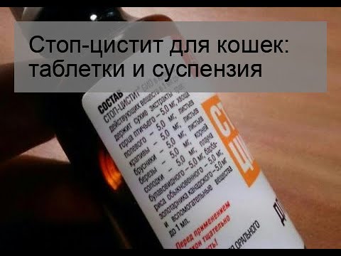 Стоп-цистит для кошек: таблетки и суспензия