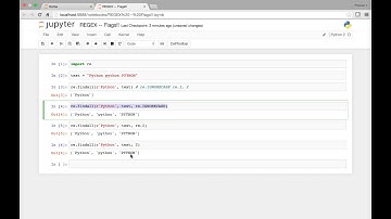 Regular Expressions   Flags