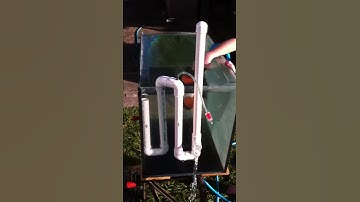 DIY PVC OVERFLOW