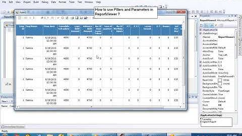 How to use Filters & Parameters in ReportViewer avi