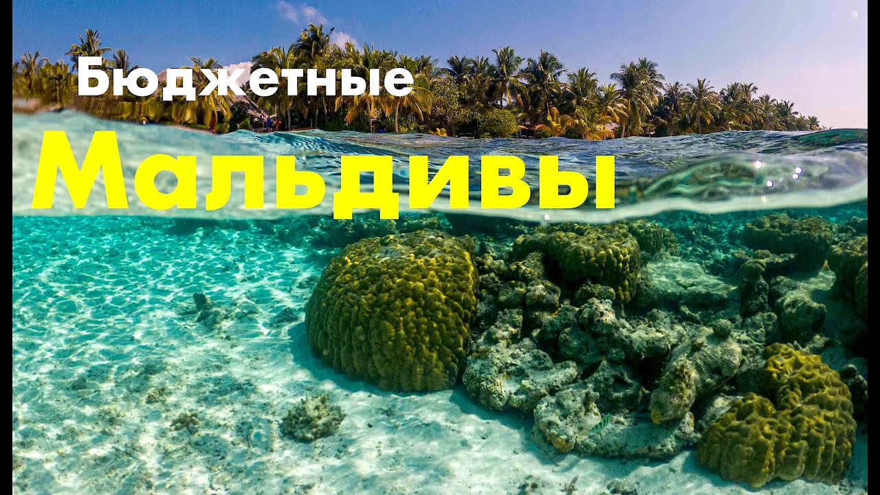 Лучшие бюджетные Мальдивы - 4* Vilamendhoo Island Resort