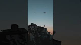 Convergence I | Algorithmic Composition