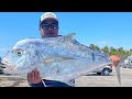 Pez Gigante Pesca y Cocina ( African Pompano )