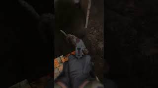 S.T.A.L.K.E.R. Gamma pseudodog