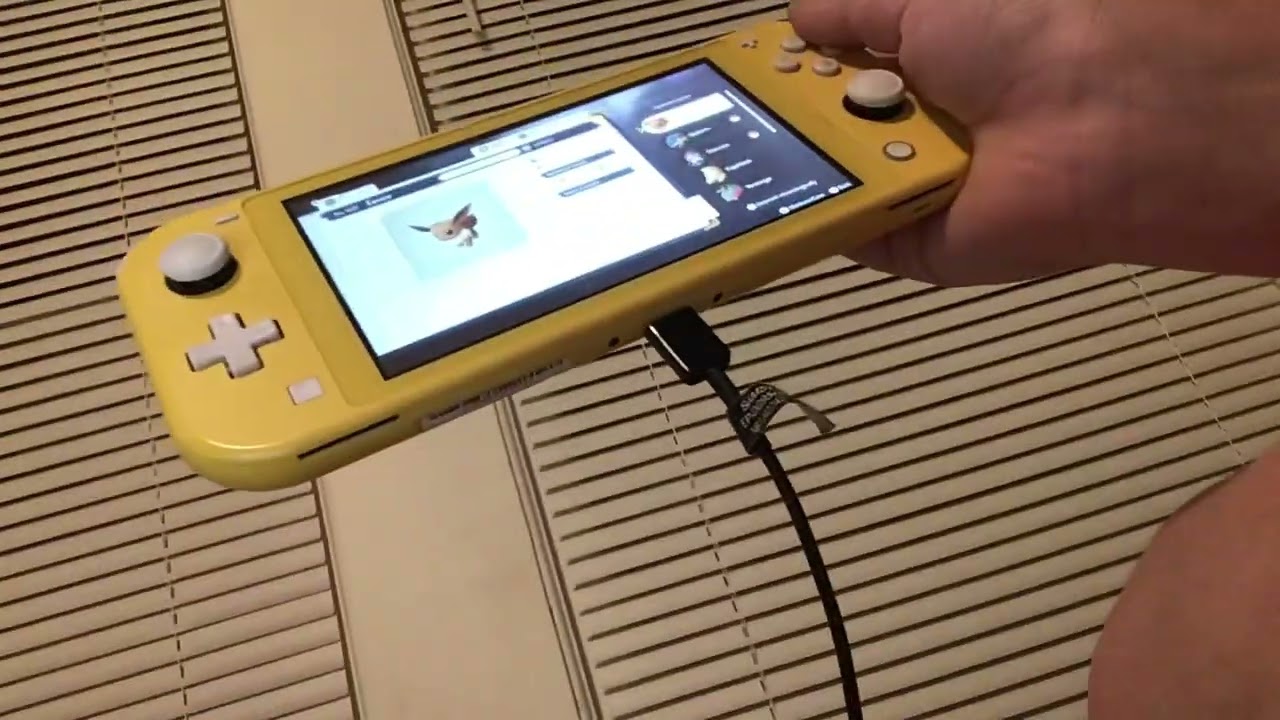 POVDoing a survey report in Pokémon legends arceus 