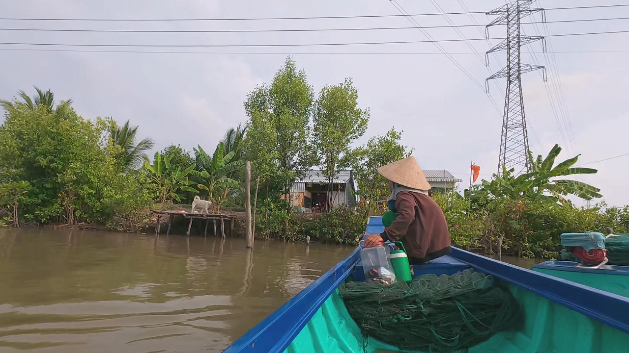 Mua Toàn Cá Ngon Của Ngư Dân 12 Cửa Ngục | Đặc Sản Cà Mau TV