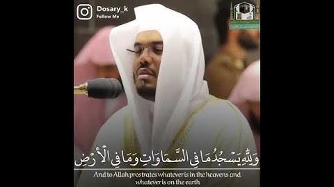سورة النحل أية رقم 49 القارئ الشيخ ياسر الدوسري