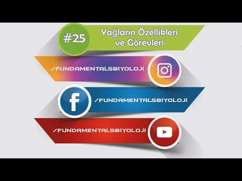 Yağların Özellikleri ve Görevleri (Kısa Kısa #25)