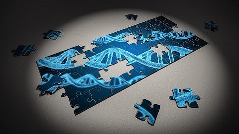 Enhancing Machine Learning Models using Genetic Algorithms