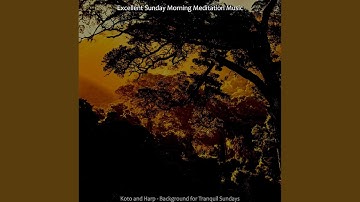 Pulsating Moods for Sunday Morning Stretching