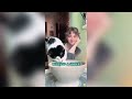 This Cat Saved Her Life on a Deserted Island#funnyshorts #pets #cute #love
