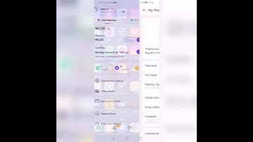 how to verify your bvn with palmpay