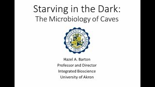 HAZEL BARTON - STARVING IN THE DARK
