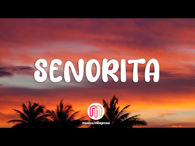 Shawn Mendes, Camila Cabello - Señorita (Letra/ Lyrics) class=