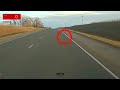 Fargo, ND #shorts #viral #dashcam #wildlife