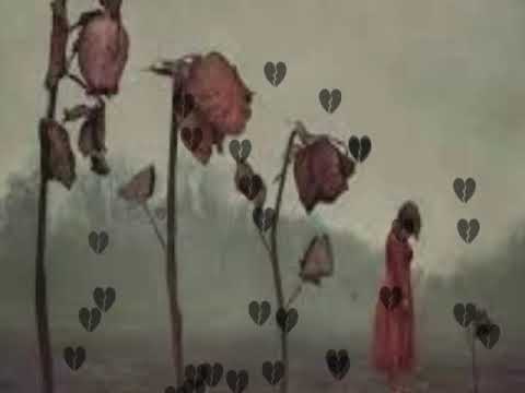 رد على أغنية جاني ع ديار المختار تأليف ميس حسن غناء نجود وميس حسن