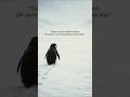 Apnon Ne Chhod Diya | Lonely Penguin Story |fasle aate jaate Rahe song #trendingshorts