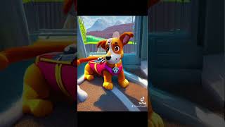 Buddy - Paw Patrol