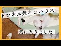 トンネル兼ネコハウス開封動画
