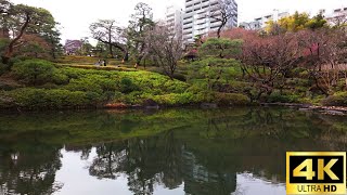 Happoen Tokyo walk