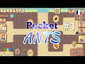 Pocket ants  astuce 1